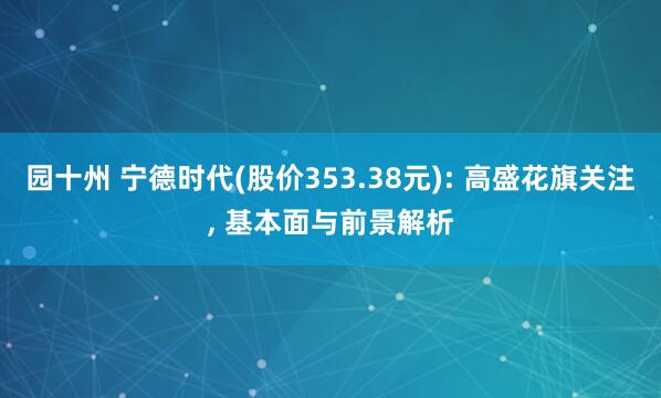 园十州 宁德时代(股价353.38元): 高盛花旗关注, 基本面与前景解析