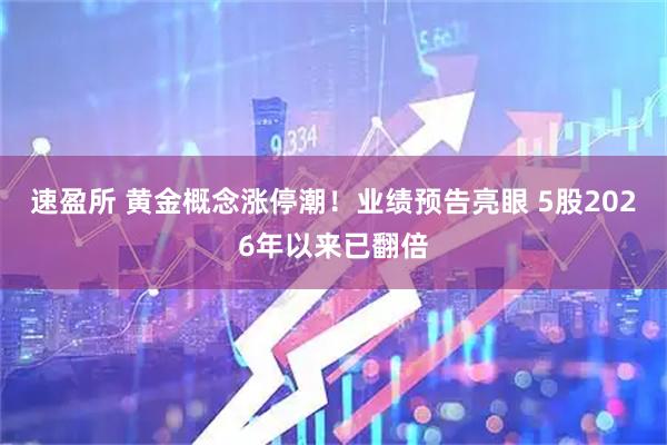 速盈所 黄金概念涨停潮！业绩预告亮眼 5股2026年以来已翻倍